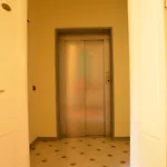 Michelangiolo 4*